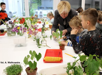 Fascynujący Dzień Roślin 2019 